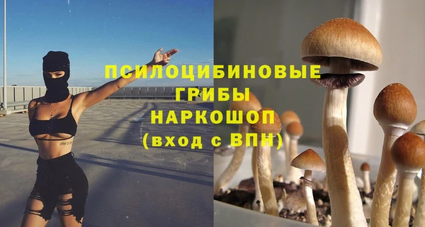 ALPHA PVP Алексеевка